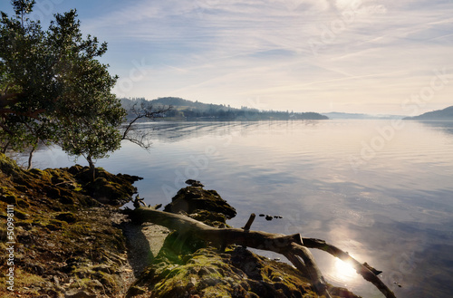Photo: Fallen branch on rocks by Lake Windermere. Fallen branch on rocks by Lake Windermere.