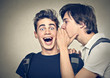 secret