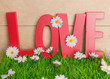 canvas print picture - love