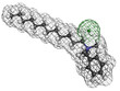 Benzalkonium chloride biocide, molecular model