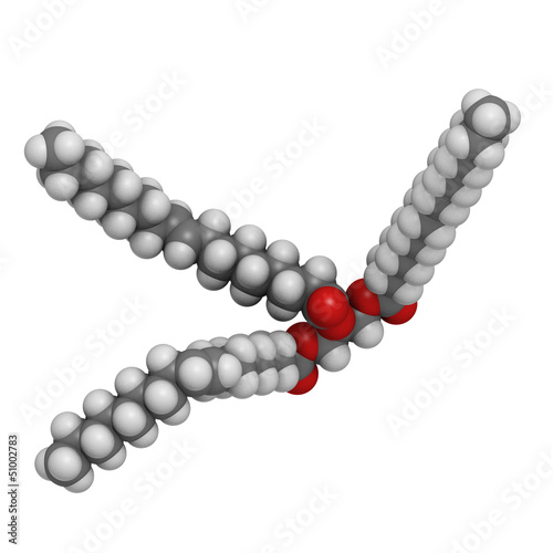 Illustration: Trans-fat containing triglyceride (elaidyl stearyl oleyl triglyc Trans-fat containing triglyceride (elaidyl stearyl oleyl triglyc