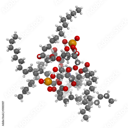 Illustration: Lipid A bacterial endotoxin, molecular model Lipid A bacterial endotoxin, molecular model