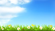 Vector: Spring background Spring background