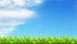 Vector: Spring background Spring background