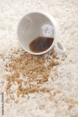 Photo: carpet cleaning carpet cleaning