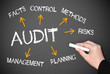 Audit Concept