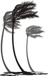 Palms in the wind