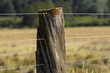 Poste de cerco alambrado en el campo.