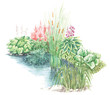 garden design nearly a water body