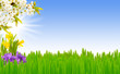 Frühlingswiese