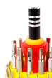 Close-up view of screw-driver with interchangeable bits kit