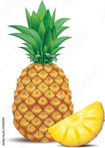 Vector: Fresh pineapple with slice Fresh pineapple with slice