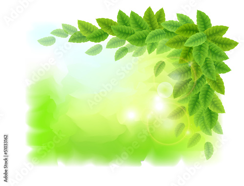 Vector: Sunny background with green leaves Sunny background with green leaves