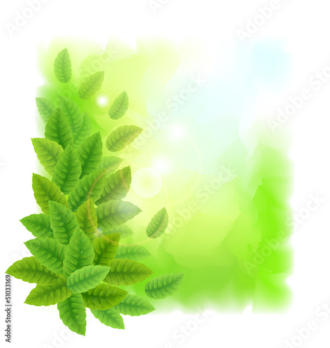 Vector: Sunny background with green leaves Sunny background with green leaves