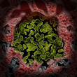 bacteria background render