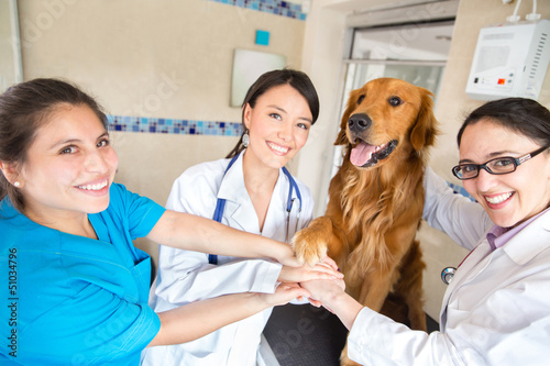 Photo: Teamwork at the vet Teamwork at the vet