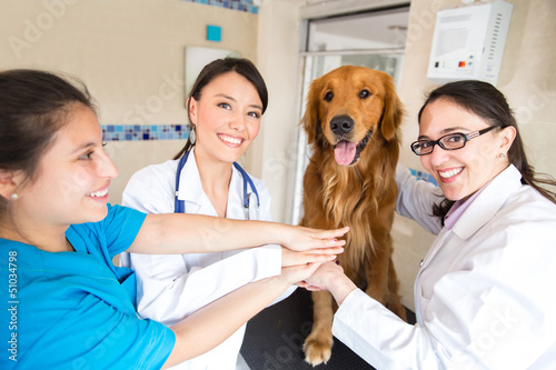 Photo: Happy team at the vet Happy team at the vet