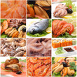 Sea products for all tastes