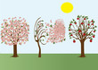 Seasons