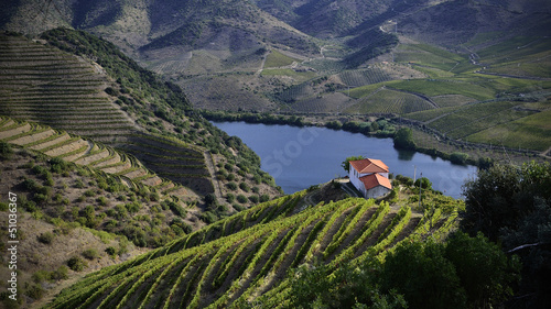 Photo: Paisagem Campo Paisagem Campo
