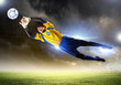 Goalkeeper catches the ball
