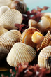 cockles