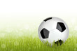 Fußball 24