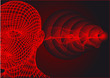 sound waves