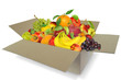 Obst 635