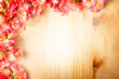 fiori di pesco texture