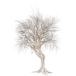 large bare tree without leaves - hand drawn