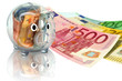 Sparschwein 115