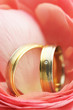 Wedding Rings in Pink Flower