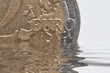 euro exposed
