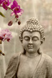 Buddha u Orchideen