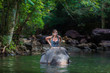the girl with the elephant in the water