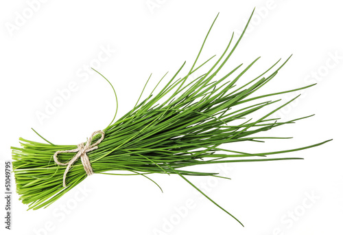 Photo: a bunch of fresh chives a bunch of fresh chives