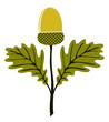 acorn with leaves