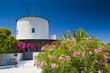 Windmühle auf Kos, Griechenland