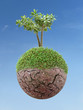 Green planet and tree