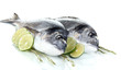 Two fish dorado with lemon isolated on white