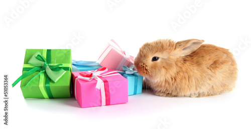 Photo: Fluffy foxy rabbit with gifts isolated on white Fluffy foxy rabbit with gifts isolated on white