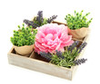 Beautiful flowers arranged in wooden box isolated on white