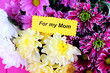 Bouquet of beautiful chrysanthemums on table close-up