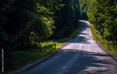 Photo: Road in the forest on a sunny day Road in the forest on a sunny day