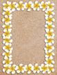 White plumeria frame on sand