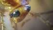 Cockroach in the kitchen macro