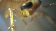 Cockroach in the kitchen macro