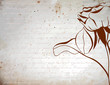 Silhouette rose on a vintage background