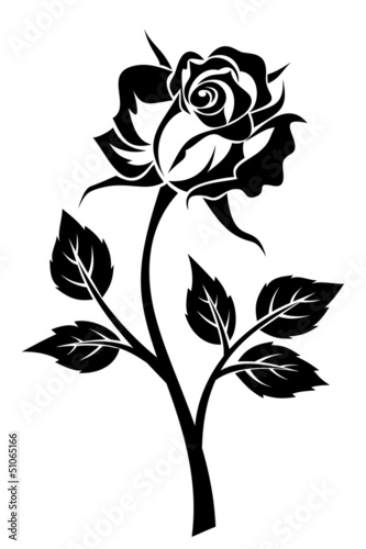 Vector: Black silhouette of rose with stem. Vector illustration. Black silhouette of rose with stem. Vector illustration.